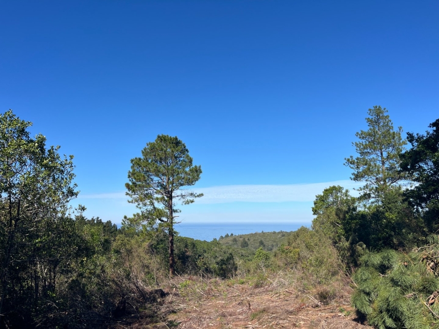 Commercial Property for Sale in Plettenberg Bay Rural Western Cape